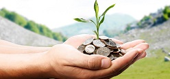 Charitable Giving Strategies: Many Options for Investors